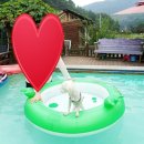 개울건너 펜션 이미지