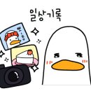 정담사진관 이미지