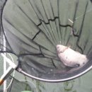 오빈낚시터(오빈저수지) 이미지