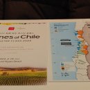 최성순 | 2022 칠레 와인 전시회 &amp; 마스터클래스(Wines of Chile Exhibition Show &amp; MasterClass) 후기