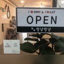 멍냥멍냥 미용실 이미지