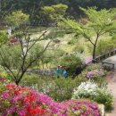 여로여인숙 이미지