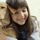 목욕하는 강아지 이미지