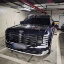 렌터카다모아 | 현대 팰리세이드 하이브리드 가솔린 출고 후기