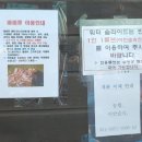 이안카라반 이미지