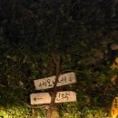 세오니네 이미지