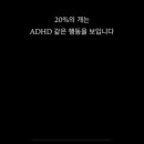 파리친구 이미지