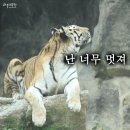 20250606 우한나들이 2편