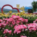 형산강 장미원 이미지