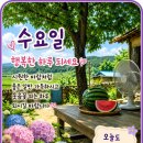 9월 23일 (수) (끝말잇기 )방에 자건방 가족분들 환영합니다 이미지