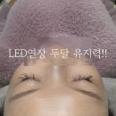 136-1-001317 | 유지력 너무 좋구 관리도 쉽고 일반연장보다 더 이득인데 왜 안하죠?!!-대연동 경성대 속눈썹 사계뷰티