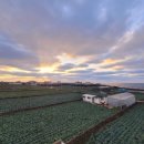 모아나스테이 이미지