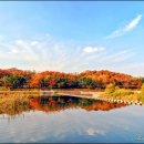 율동공원 이미지