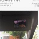 네오나오 네이버블로그