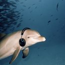 아이올림(i올림) | 젊은이가 많은 나라 저머니(Germany)와 사랑에 빠지다♬