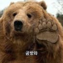 구십칠