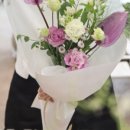 로즈 플라워(ROSE FLOWER) 이미지