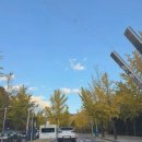 (주)에버리소스(서울지점) | 인스타 단풍명소의 실체(?) 용인 한국외대 글로벌캠퍼스 명수당 방문후기 꿀팁 주차