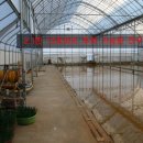 자유로낚시터 이미지