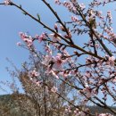 열두개울민박 이미지