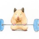 함지 이미지