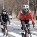 그린와사비 이미지