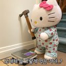 키티 이미지