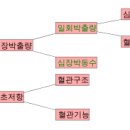고혈압(高血壓, hypertension) 이미지