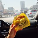 하이락펜션(구, 크리스탈) | 여수 여행 가볼만한곳 동백꽃이 이쁜 오동도 동백열차 타고 들어가기