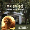 풍산동물병원 이미지