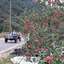 여우목로 이미지