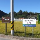소나무산촌마을