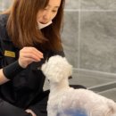 스퀘어독스 서산점 네이버블로그