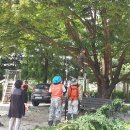 송곡초교 이미지