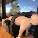 모찌네호캉스 이미지