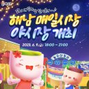 해남매일시장 | 해남 야시장 후기 / 지역 먹거리 [매일 시장]
