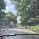 비자비 - 단양군 상진13길 16 | 푸릇한 마당이 있는 평화로운 카페 동대문구 아기랑 카페 추천 비자비 카페(vis a vis)