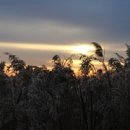 시티번역행정사사무소 이미지