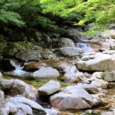 광덕계곡관광지 이미지