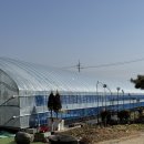 담양공방 | 광주 근교 딸기체험 담양 딸기공방 후기(3세 7세 아이와 함께한 체험)