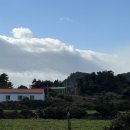 판포보름 이미지