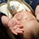 뽀댕뽀댕 이미지