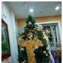 비버어린이집 이미지