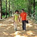 황토메타길 이미지