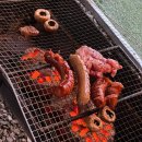 소라잡는댕댕이 | 해루질과 바베큐가 가능한 태안애견펜션 - 소라잡는댕댕이펜션