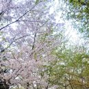 당하1호공원 이미지