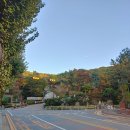 이마트24 R광명7동점 이미지