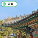 리멤버8 | 홍유릉 카페 리멤버1910 이석영광장 역사체험관 후기