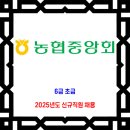 농협중앙회 채용 / 2025년도 6급 신규직원 채용 이미지