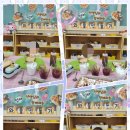 새서원어린이집 이미지